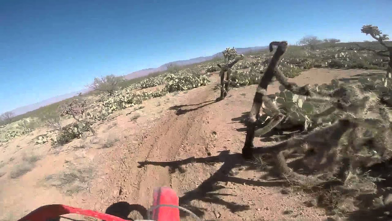 CR250 vs KX250 Gasline Drag Race and Single Track YouTube