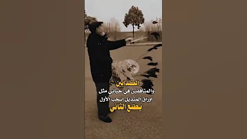 الكذابين والمنافقين في حياتي حالات واتس اب شيقة احترافية 2023 رووووووعه 