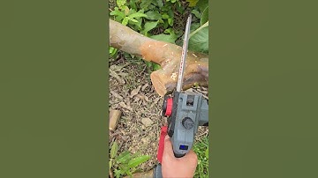 Nhớt tự động - Cưa xích Workfix 8inch #cuapin #cuaxich #cuaworkfix