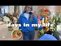 DAYS IN MY LIFE | Trader Joes Haul | Floral arrangement | What my toddler eats in a day