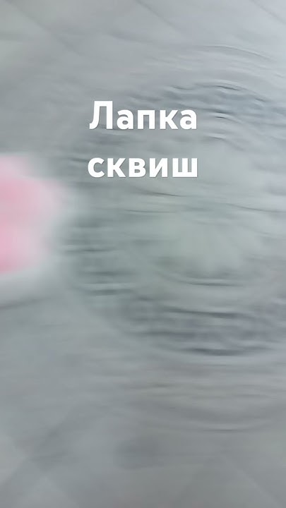 лапка сквиш с вб - YouTube