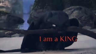 ,,I Am A King Toothless The Night Fury