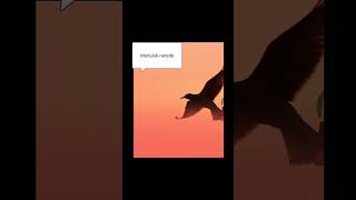 Şarkı adı : Mutluluk nerede Söz: Hulusi Ugar,  Müzik:Yapay zeka