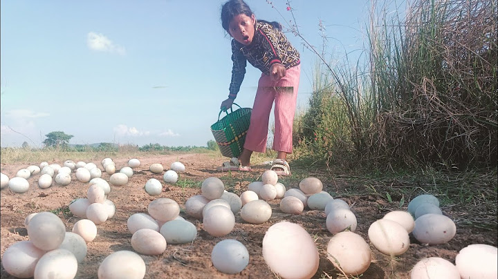 WOW " a village girl found many eggs nearby riverbank. lots of Eggs being found.