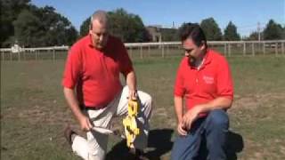 Evaluating Your Pasture on Small Livestock Farms