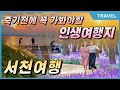 죽기전에 꼭 가봐야할  놓칠수 없는 보랏빛 맥문동 꽃과 함께하는 인생 여행지,  #맥문동축제, #노을맛집,#서천여행,