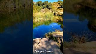 Río de Tranquilidad: Sonidos de la Naturaleza para Relajarse y Meditar