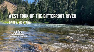 Fishing The West Fork Bitterroot River Fly Fishing Waters