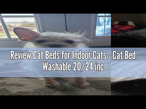 Review Cat Beds for Indoor Cats - Cat Bed Washable 20/24 inches, Dog Beds for Small Medium Dogs, Ant