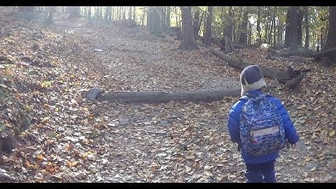 Trees Around the GLOBE