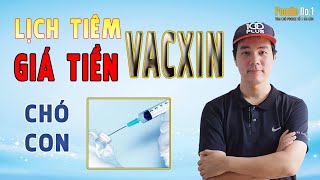 Lịch tiêm phòng vacxin cho chó con, Giá tiêm các loại Vacxin cho chó,  lưu ý khi tiêm vacxin
