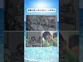 進撃の巨人のこのシーン#おすすめ #すごい #面白い #進撃の巨人