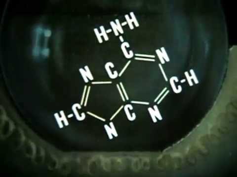 Возникновение жизни на Земле. 0 -18 мин  Киевнаучфильм,1973г  учебный