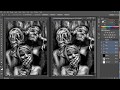 How To Separate 2 Color Grayscale photoshop For Screen Printing simulated process