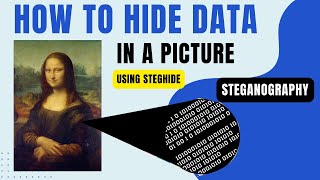 How to hide data inside a picture(steganography)