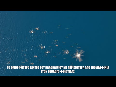 Το ομορφότερο βίντεο του καλοκαιριού. Η απιστευτη χορογραφία απο μια αγέλη Δελφινιων στον Θεολόγο.