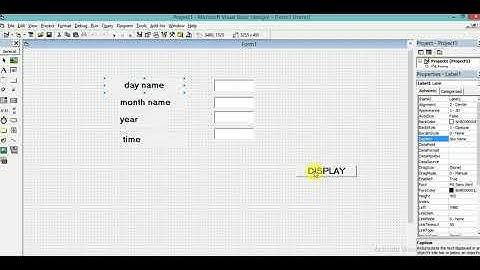 Function in vb 6.0 By Dipali Singh Rathore