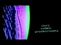 Ovs productions  1981  frightening vhs ident