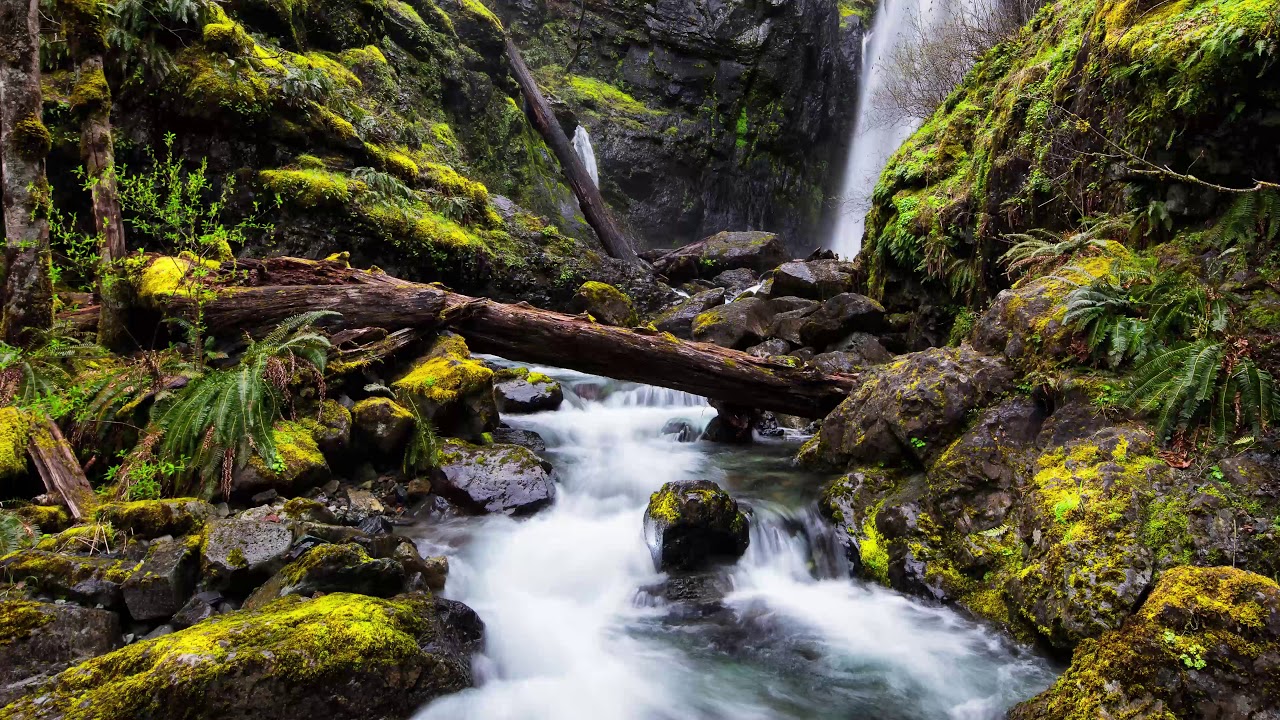 Watch Nature Pill | Binaural Beats - Theta Waves | Peaceful Nature Sounds on YouTube Watch Nature Pill | Binaural Beats - Theta Waves | Peaceful Nature Sounds on YouTube