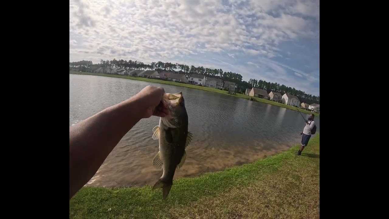 Bass Fishing In Our Neighborhood