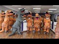 Walking Into Random Stores With 100 Dinosaurs