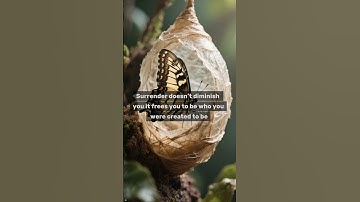 Tim Keller: The Freedom of Surrender #christianfaith #motivation #strengthandgrowth