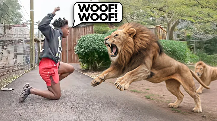 When IShowSpeed Gets Attacked By Animals!