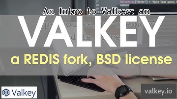 Valkey: an Intro to Redis fork.. a high-perf BSD licensed Data Store