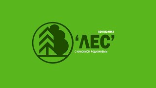 Лес: День работников леса в Бабаевском леспромхозе
