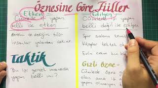 Fi̇i̇llerde Çati