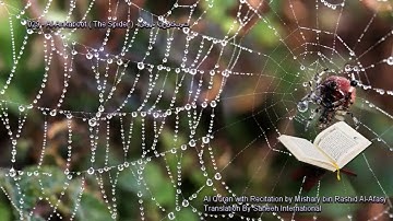 029. Al-Ankaboot (The Spider) سورة العنكبوت (Quran in Arabic and English)