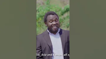 America Asia Europa Africa Fahamu Ujumbe Wa Group Washington 