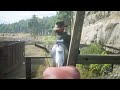 Red Dead Redemption 2 - Funny & Brutal Moments Vol. 31 (Euphoria Ragdolls)