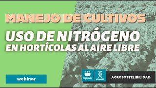 Estrategias para la mejora en la eficiencia del uso de nitrógeno en hortícolas al aire libre