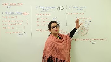 Best Free Topic l Class 5th I Maths I ICSE I Chapter I Factors I HCF I LCM I L24