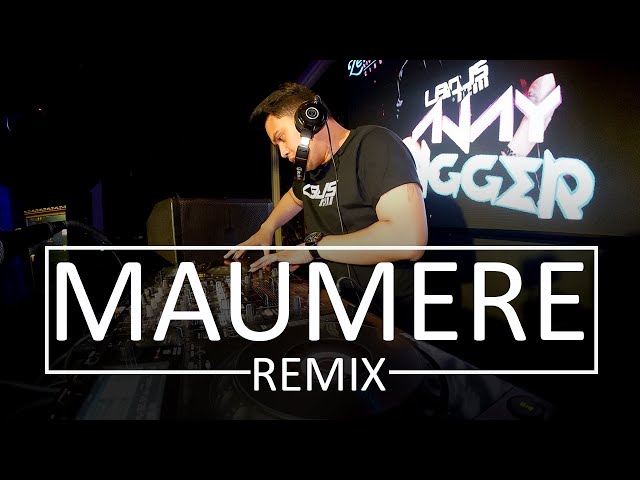 Gemu Fa Mi Re (maumere) Dj remix Terbaru full Bass 2020 [dj tiktok viral terbaru 2020] class=