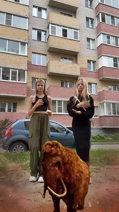 Настоящий МАМОНТ!!!??🦣😨😳#мамонты #животные #тренды #dance #танцы #смех ...