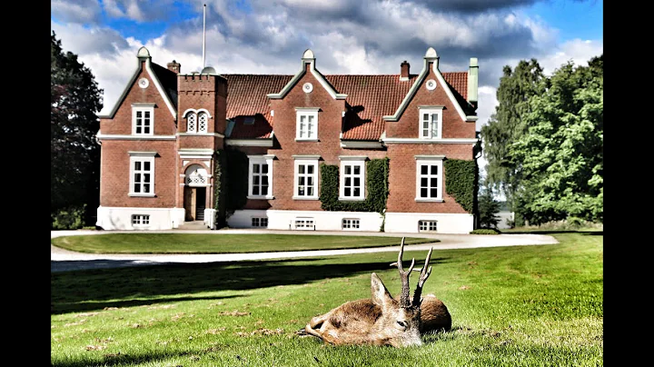 Scandinavian Prohunters Roebuck hunting with Larry...