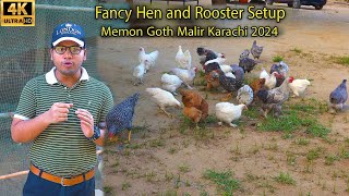 Fancy Hen and Rooster Setup Memon Goth Malir Karachi | نایاب اقسام کے مرغے اور مرغیاں اور انکے بچے