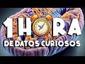 ¡ 1 HORA sin pausas de DATOS CURIOSOS y COSAS QUE NO SABÍAS ! ⏰😲1199 #curiomaníatv