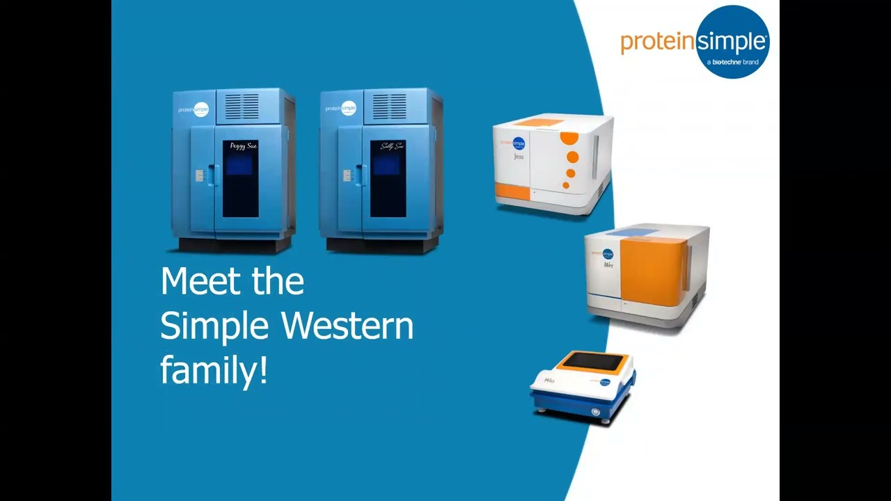 ProteinSimple Seminar: More than a Western blot – Simple Western