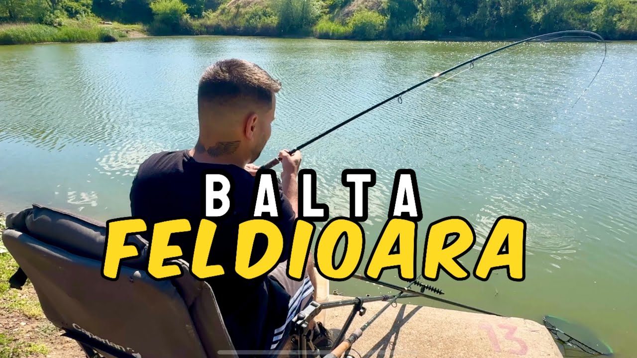 MI-A LUAT LANSETA de pe SUPORT! Oare ce PEȘTE era?