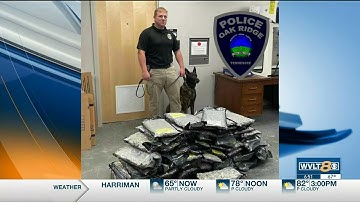 Catch Up Quick: Your headlines from 9/8 in 8 minutes or less