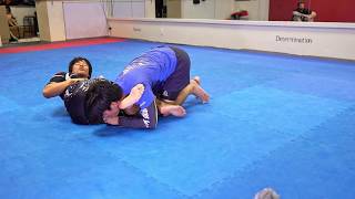 No Gi Z Guard Submissions