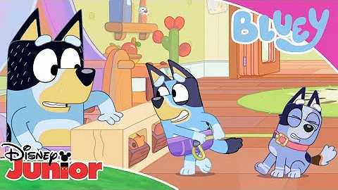 Bluey's Adventures | Bluey 💙 | Disney Junior Arabia