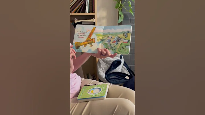 Plane Janes Journey