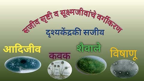 सजीव सृष्टी व सूक्ष्म जीवांचे वर्गीकरण सा.विज्ञान (इ.8 वी)। Living cell& Microbes।Vijaya Jadhav