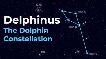 How to Find Delphinus the Dolphin Constellation