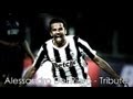 Alessandro Del Piero - Tribute | La Storia | 1993-2012 | HD