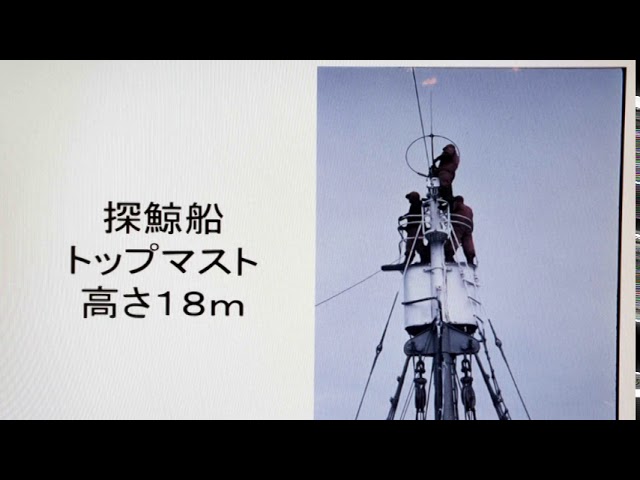 南氷洋捕鯨記録ドキュメンタリ－ - YouTube